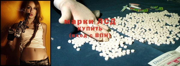 эйфоретик Аркадак