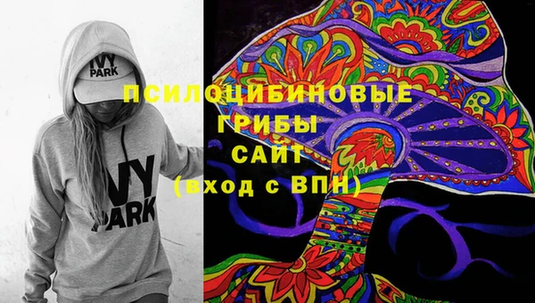 эйфоретик Аркадак
