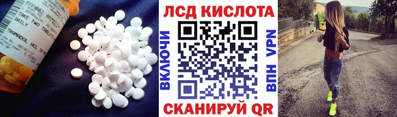 купить наркоту  Судогда  ЛСД экстази кислота 