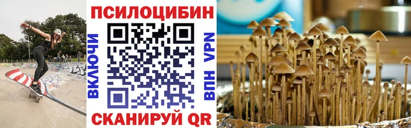 Псилоцибиновые грибы GOLDEN TEACHER наркота Судогда